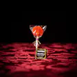 Product image for Lollipop