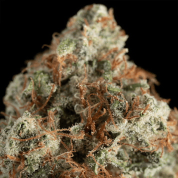 Photo of 3.5g Grape GMO - Living Soil Cannabis - Upstate Elevator Operators