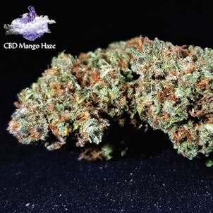 Photo of CBD Mango Haze Flower
