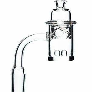 Photo of Terp Pearls