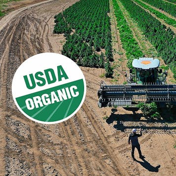 Photo of USDA Certified Organic Hemp Biomass