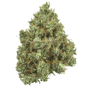 Photo of Lilac Diesel Premium