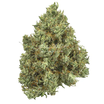 Photo of Lilac Diesel Premium