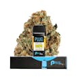 PLUGPLAY™ | PLUG™ Pod | Washington | Super Lemon Haze | 1g