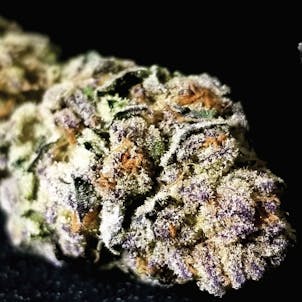 Product image for Poison Fruit