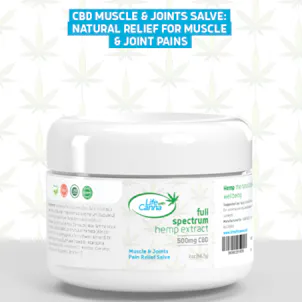 Photo of Muscle and Joints Pain Relief CBD Salve (500 mg)