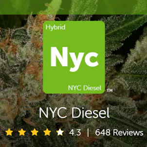 Photo of NYC Diesel CBD Hemp