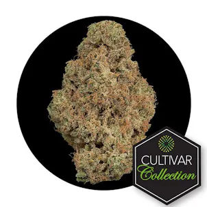 Photo of Cultivar Collection Flower 3.5G - SIP