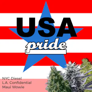 Photo of USA Pride Mixpack