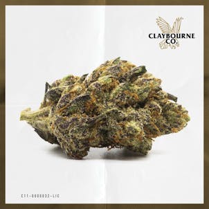 Photo of Julius Caesar (1g)