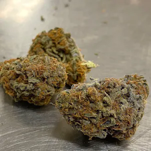 Photo of Terp Smoothie