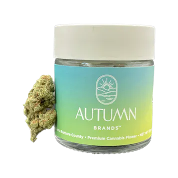 Photo of Peach Dreams Premium 3.5g Jar - Sativa