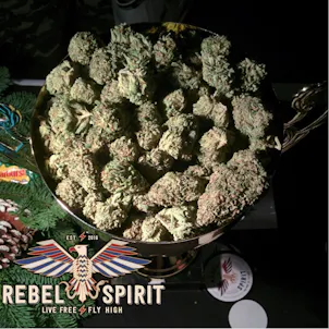 Photo of Rebel Berry OG