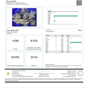 Photo of Floral Wife - Untrimmed Flower - 8.56% CBD, 2.46% Total Terpenes, Cinnamon, Floral, Orange, Indica,