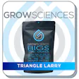 Product image for Triangle Larry Bigs