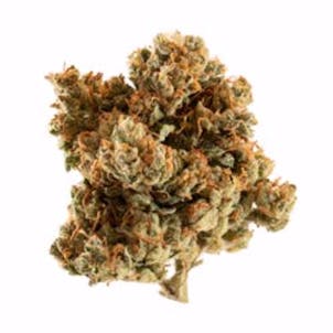 Photo of Columbian Gold