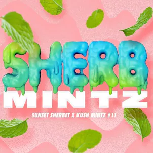 Photo of Sherb Mintz Pre-Roll 1g