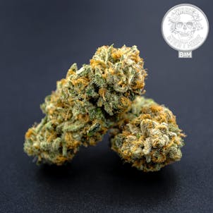 Photo of White Nightmare