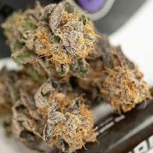 Photo of Double Purple Pie