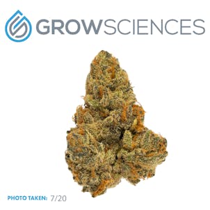 Photo of Grape Gas (3.7)