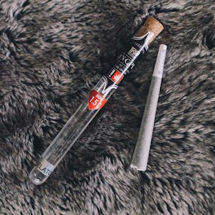 Photo of Dragon Piss Kingpins