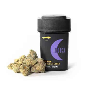 Photo of 88 G13 Hash Plant x Northern Lights