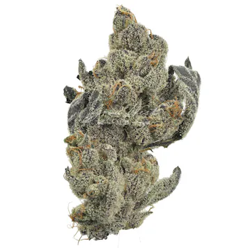 Photo of Silver Cloudz Untrimmed | Silver
