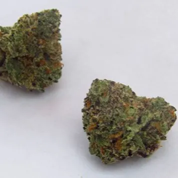 Photo of Lava Cake Fem Seeds