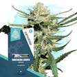 Product image for Northern Lights Automatic by Zamnesia Seeds