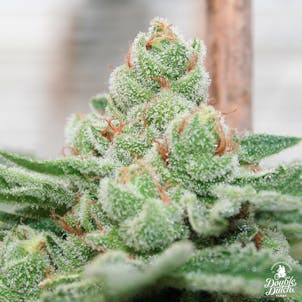 Photo of Strawberry Banana