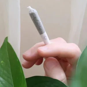 Photo of Jane West Day Pre-Roll Mini Joints 5 Pack 1.75g