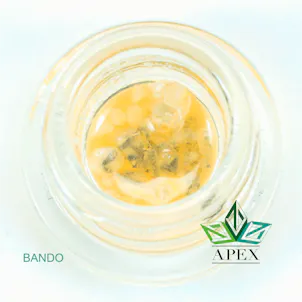 Photo of Bando ( Apex x Redwood Remedies )