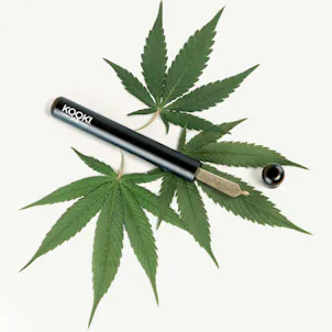 Photo of The Doob Tube | Odour-Sealing Pre-Roll Container