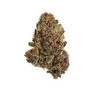 Photo of Tropicana Cookies 1g