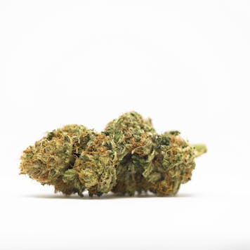 Photo of Charlees Angel