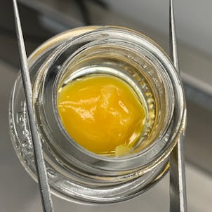 Photo of Forbidden Fuel