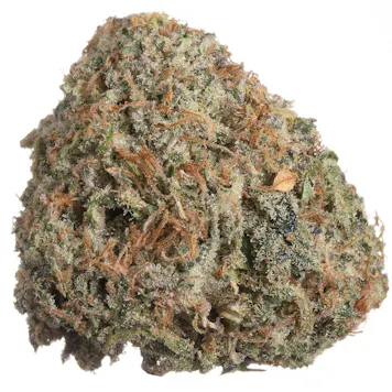 Photo of RNTZ Flower