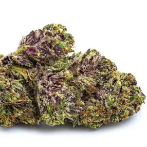 Photo of Purple Lamborghini