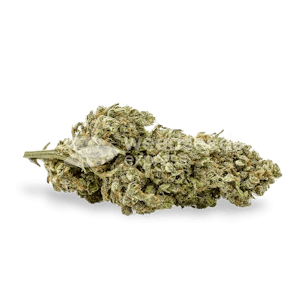 Photo of CBG Citrus Nectar Feminized Seeds