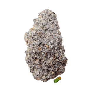 Photo of Grape Zkittlez | 1/8