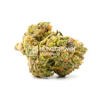 Photo of Girl Scout Cookies Feminized