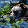 Product image for Blueberry Silvertip - Premium Flower