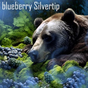 Photo of Blueberry Silvertip - Premium Flower