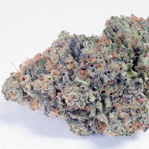Photo of Kashmir Kush