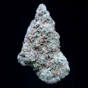 Photo of Blue OG