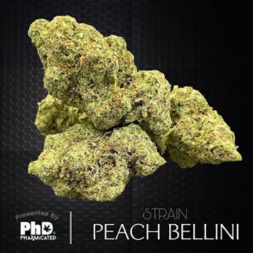 Photo of PhD Indoor Flower - Peach Bellini