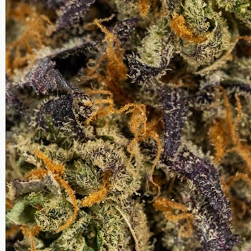 Photo of Poolboy King Tut - 3.5 Gram