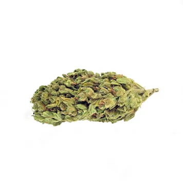 Photo of AMS XTRM Feminized