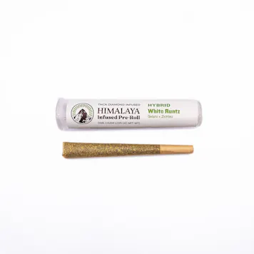 Photo of White Runtz - Infused Pre-Roll
