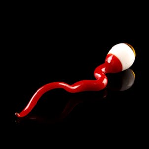 Photo of 4" High-Flying Eyeball Dabber